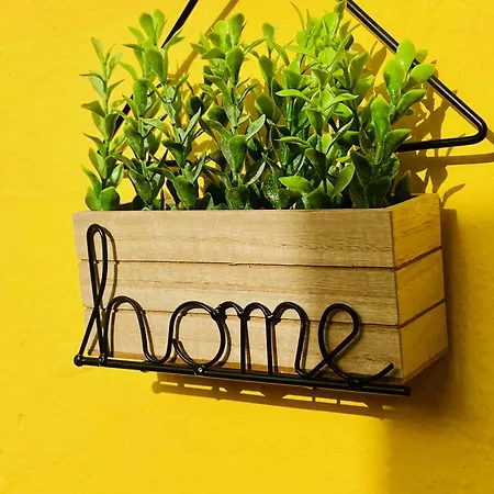 Cozy And Sunny In